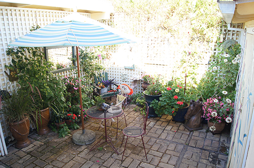 click to view larger image A secret garden in Martinez, California